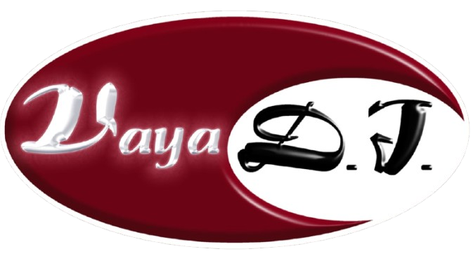 Vaya DJ - Tampa Bay's Premier Wedding and Event DJ